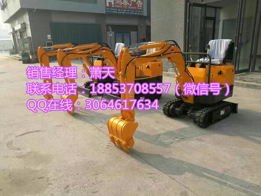 不要猶豫趕快下單弗斯特小型挖掘機(jī) 農(nóng)用挖溝機(jī) 廠家原始圖片3