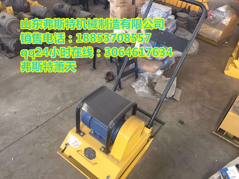 全國包郵中弗斯特雙向振動平板夯 手扶式打夯機(jī) 廠家原始圖片2