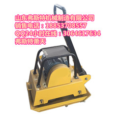 全國包郵中弗斯特雙向振動平板夯 手扶式打夯機(jī) 廠家原始圖片3