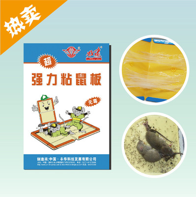 多規(guī)格多樣式創(chuàng)意衣服掛鉤 廚房墻壁浴室門后無(wú)痕掛鉤