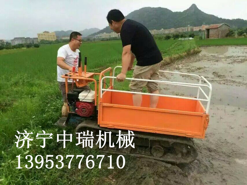 履帶運(yùn)輸車,農(nóng)用履帶運(yùn)輸車暢銷,履帶運(yùn)輸車專賣廠家