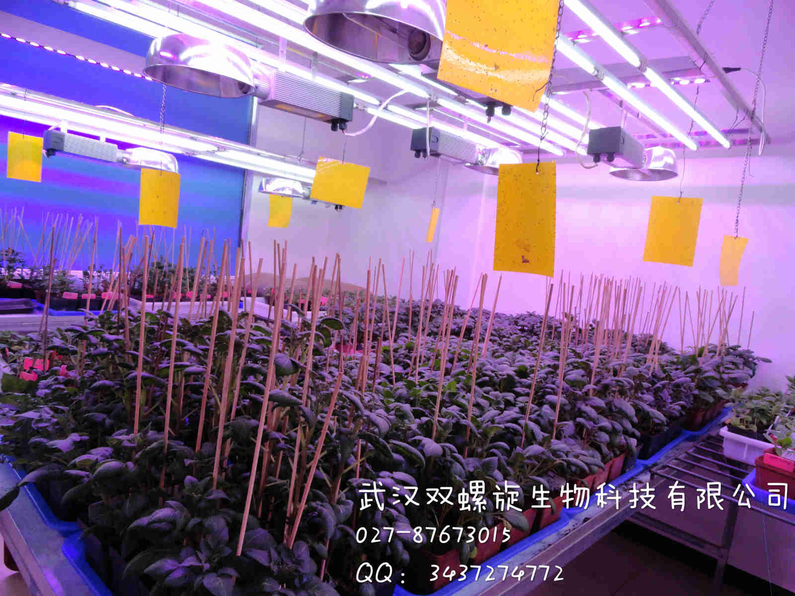 智能人工氣候室