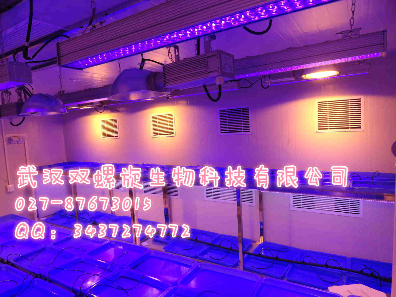 智能人工氣候室報價、智能人工氣候室裝修，智能人工氣候室規(guī)劃