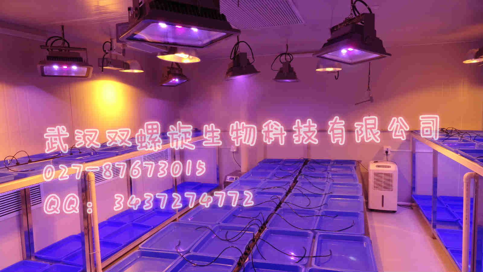 智能人工氣候室工程，智能人工氣候室報價，智能人工氣候室規劃原始圖片2