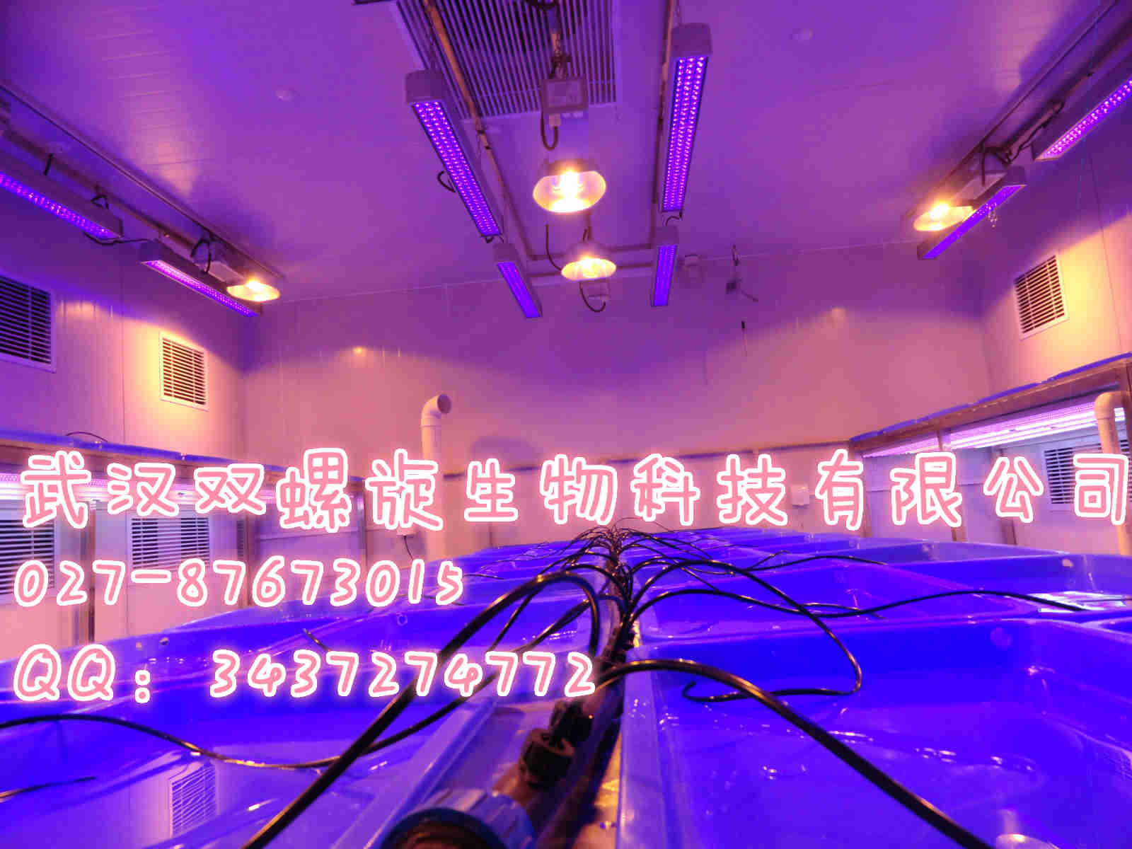 人工氣候室工程，人工氣候室報價