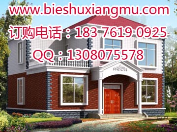 磚混結(jié)構(gòu)兩層半挑空戶型帶露臺農(nóng)村別墅戶型圖