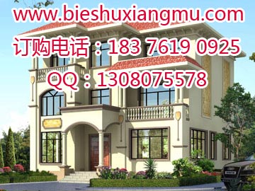 磚混結(jié)構(gòu)三層多功能戶型帶陽(yáng)臺(tái)新農(nóng)村住宅設(shè)計(jì)