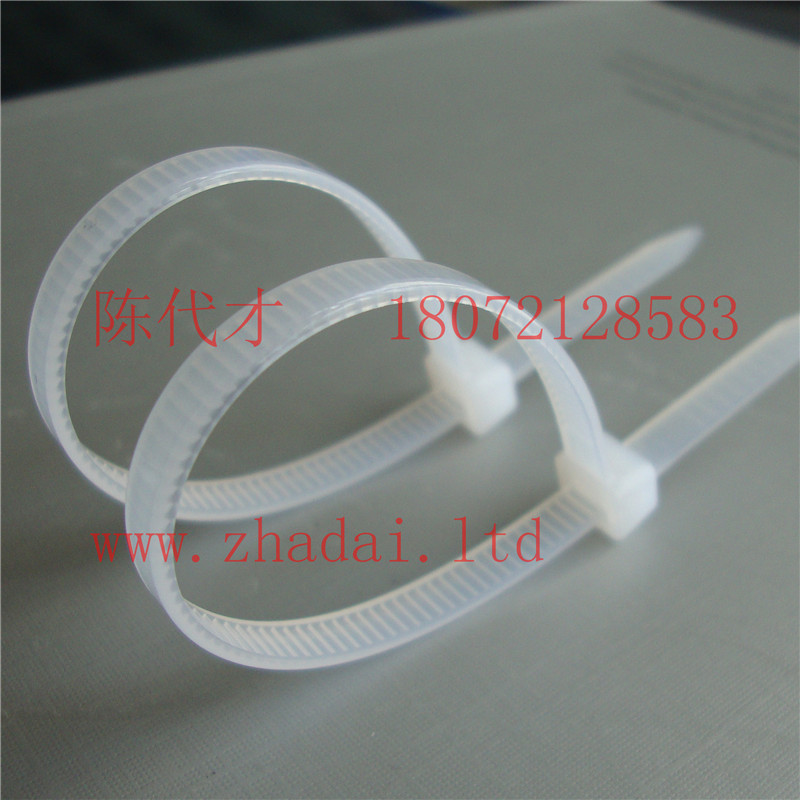 環(huán)保2.5*160尼龍?jiān)鷰В瑑?yōu)質(zhì)2.5X160尼龍?jiān)鷰a(chǎn)廠家，塑料扎帶原始圖片3