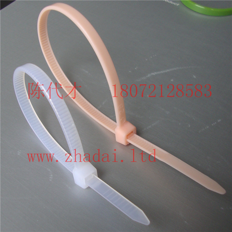 環保4.8*100尼龍扎帶，優質4.8X100尼龍扎帶生產廠家，塑料扎帶原始圖片2