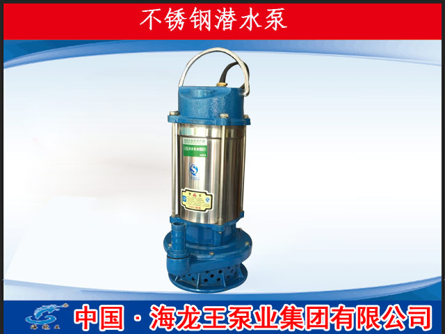 不銹鋼潛水泵原始圖片3