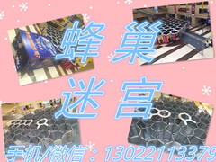 供應(yīng)蜂巢迷宮出租 蜂巢迷宮出售 蜂巢迷宮圖片 蜂巢迷宮廠家原始圖片3