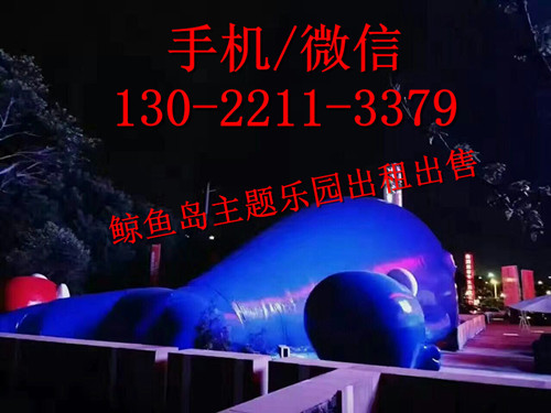 {zx1}道具鯨魚島樂(lè)園出租藍(lán)鯨海洋球樂(lè)園出租出售原始圖片2