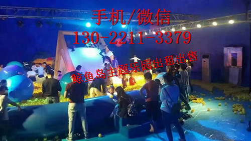 {zx1}道具鯨魚島樂(lè)園出租藍(lán)鯨海洋球樂(lè)園出租出售原始圖片3