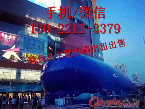 鯨魚島怎么樣？鯨魚島出租鯨魚島租賃全新報價鯨魚島供應原始圖片3