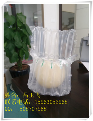 香瓜石榴氣柱袋  水果氣柱袋定制