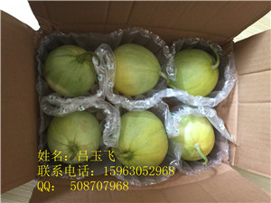 北京專賣水果氣柱袋定制  香瓜氣柱袋 