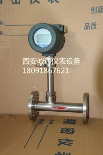高精度智能沼氣流量計原始圖片2