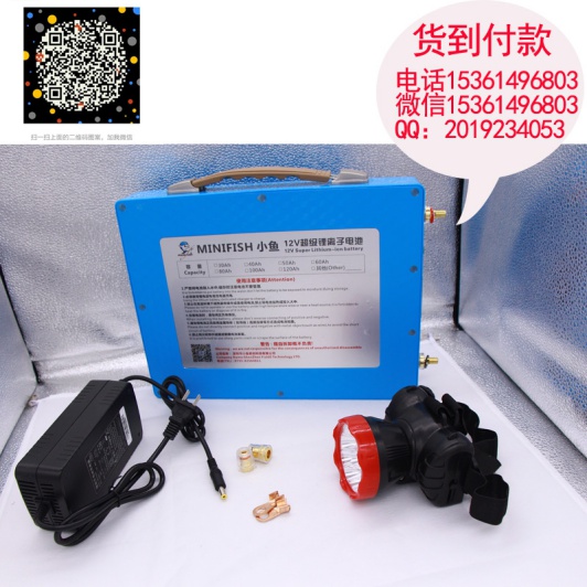 電魚器捕魚變壓器多少錢