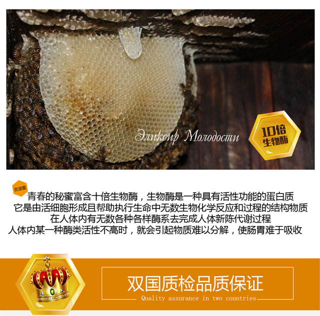 上海青春的秘蜜吉爾吉斯蜂蜜高原白蜜量大從優(yōu) 原始圖片2