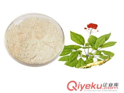 人參莖葉提取物  80%人參總皂甙