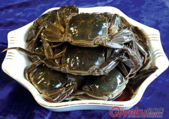 供應(yīng)特色魷魚
