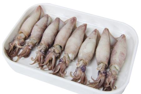 供應(yīng)特色魷魚原始圖片2