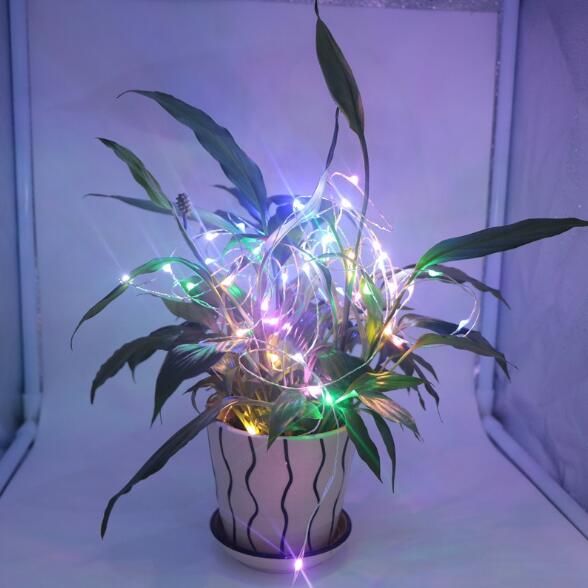 LED圣誕裝飾燈串 電源驅(qū)動彩燈原始圖片2