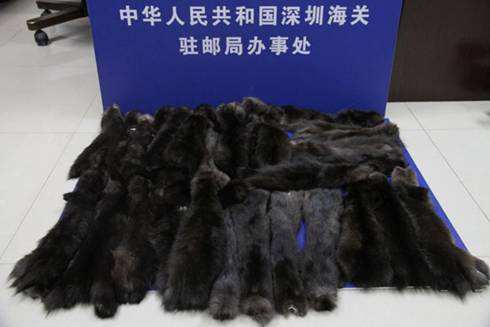 敦豪國(guó)際快遞報(bào)關(guān)