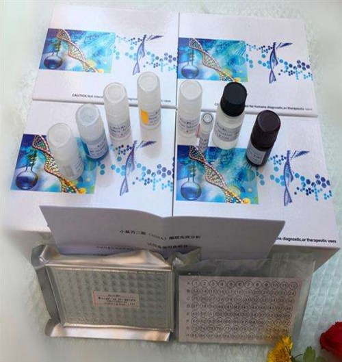 植物ELISA試劑盒廠家/ELISA試劑盒廠家/大鼠ELIS