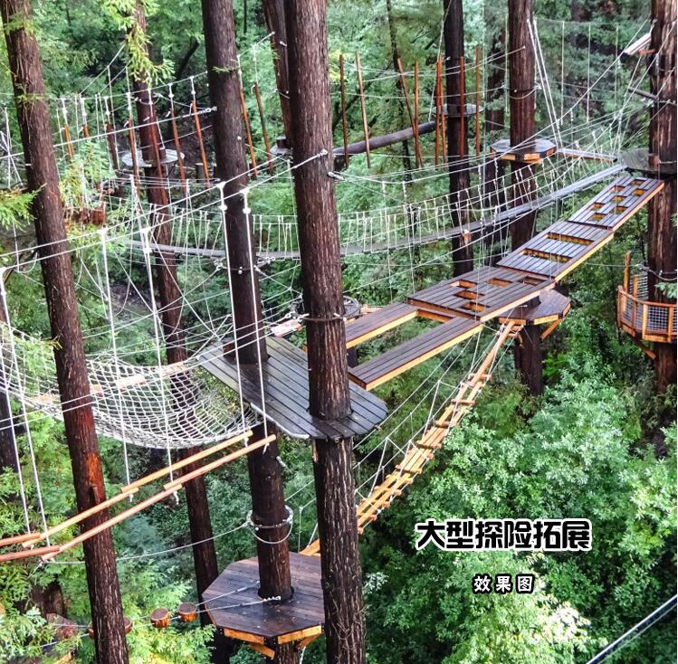 秦皇島叢林探險(xiǎn)拓展建造制造廠家 叢林探險(xiǎn)拓展建造游樂(lè)場(chǎng)采購(gòu)原始圖片2
