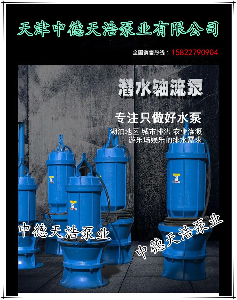 天津中德天浩QZB型軸流型水泵大全
