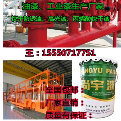 尚宇牌環(huán)氧富鋅底漆鋼結(jié)構(gòu)富鋅防腐防銹漆原始圖片3