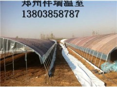 安陽日光溫室大棚建造每畝多少錢 河南祥瑞 13803858787