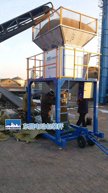 吉林大豆包裝秤排行DCS-D1050