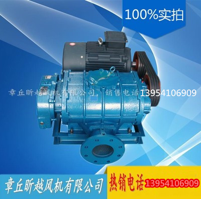 雙油箱羅茨風(fēng)機(jī) 三葉輪羅茨鼓風(fēng)機(jī)生產(chǎn)廠家原始圖片2