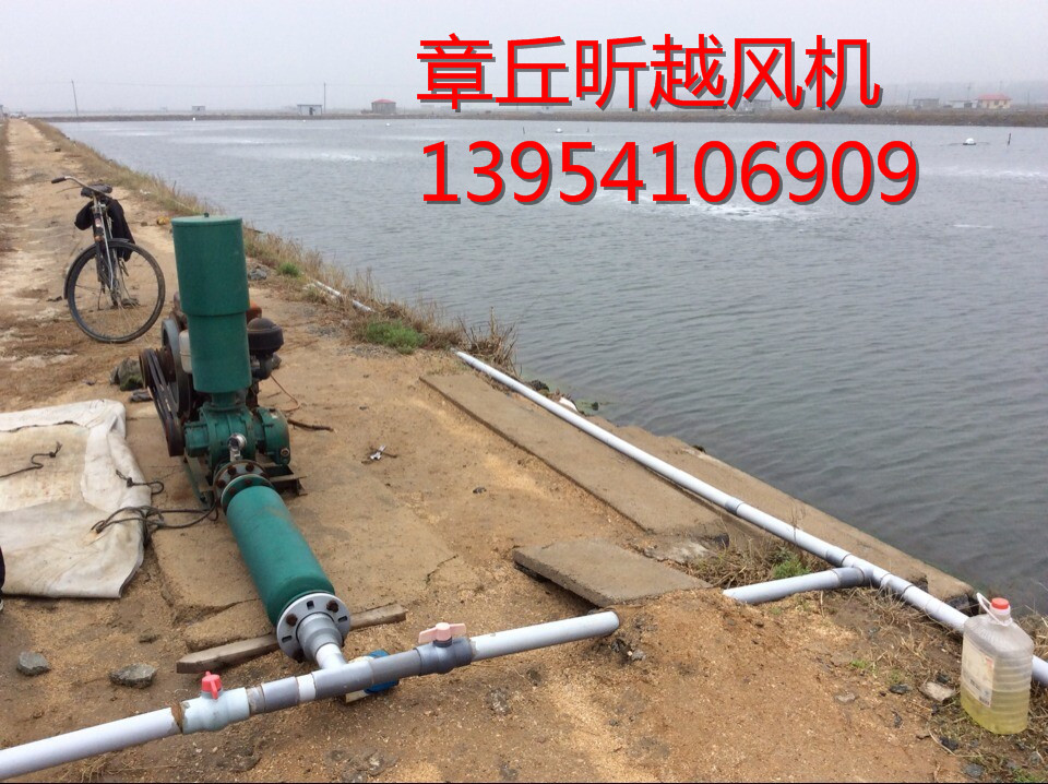 羅茨微孔增氧機(jī) 增氧設(shè)備價(jià)格原始圖片2