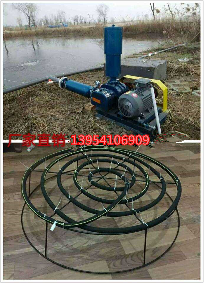 羅茨微孔增氧機(jī) 增氧設(shè)備價(jià)格原始圖片3