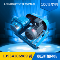 曝氣氣力輸送污水處理風(fēng)機(jī)設(shè)備價(jià)格原始圖片3