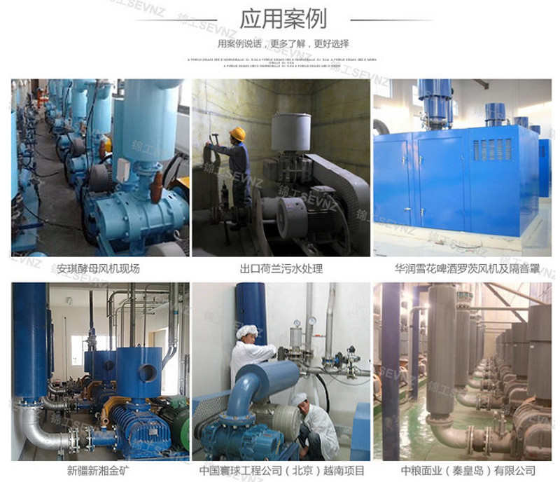 遼陽三葉羅茨鼓風(fēng)機(jī)供應(yīng)廠家