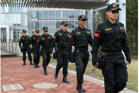 雷電特衛(wèi)安全服務有限責任公司 91460900099283054A原始圖片3