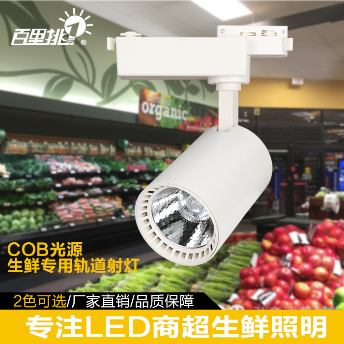 LED轨道灯,BL-Y30A