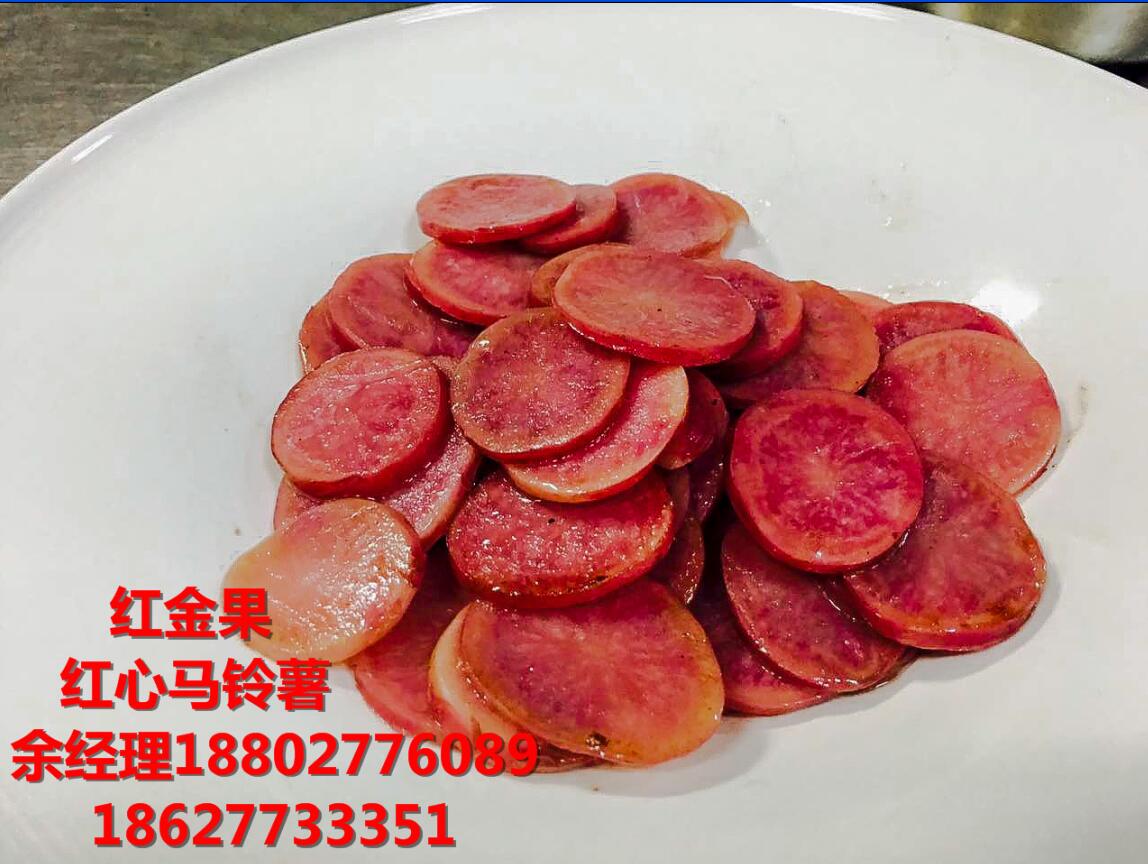 紅心馬鈴薯種植技術(shù)全過程.余經(jīng)理	18802776089原始圖片2