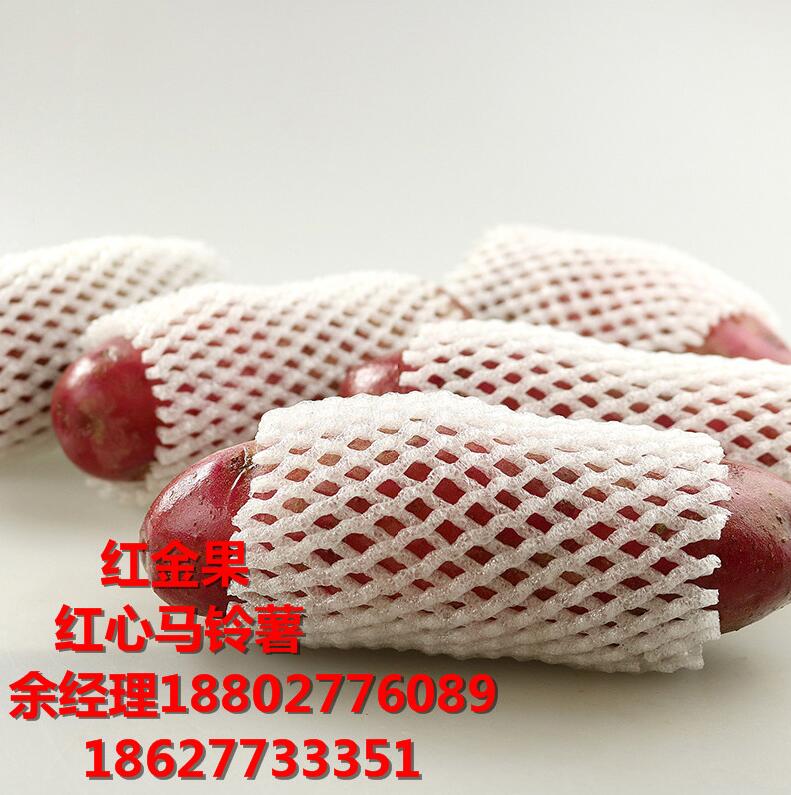 怎么種植紅心土豆 余經(jīng)理	18802776089原始圖片2