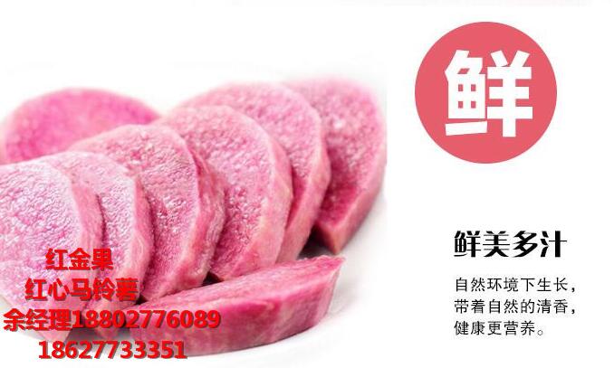 紅心土豆主糧化 紅心馬鈴薯贏得國內外食品市場