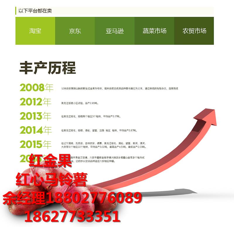 紅心土豆主糧化 紅心馬鈴薯贏得國內外食品市場