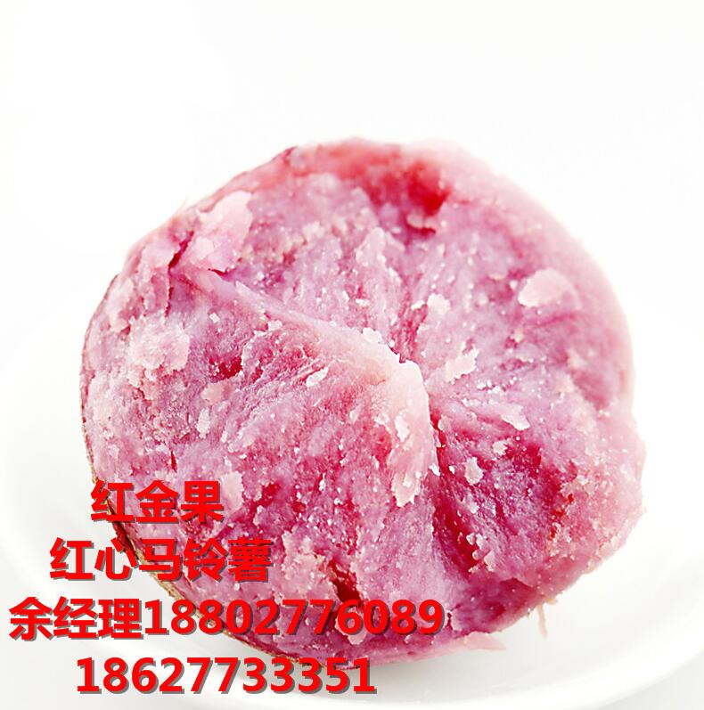 紅心馬鈴薯主糧化漸入佳境原始圖片3