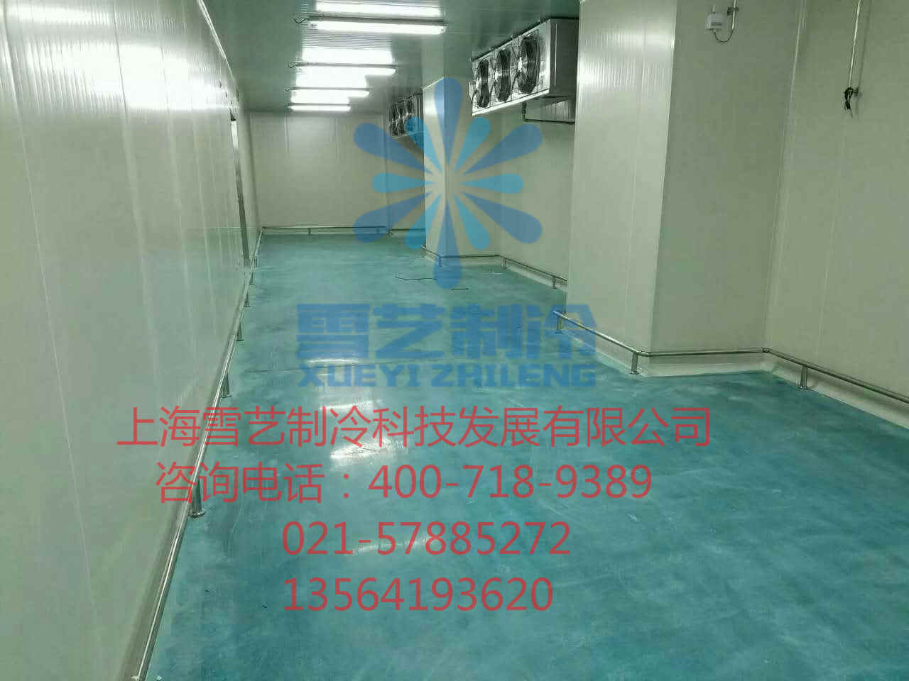 500平方保鮮冷庫/500立方保鮮冷庫