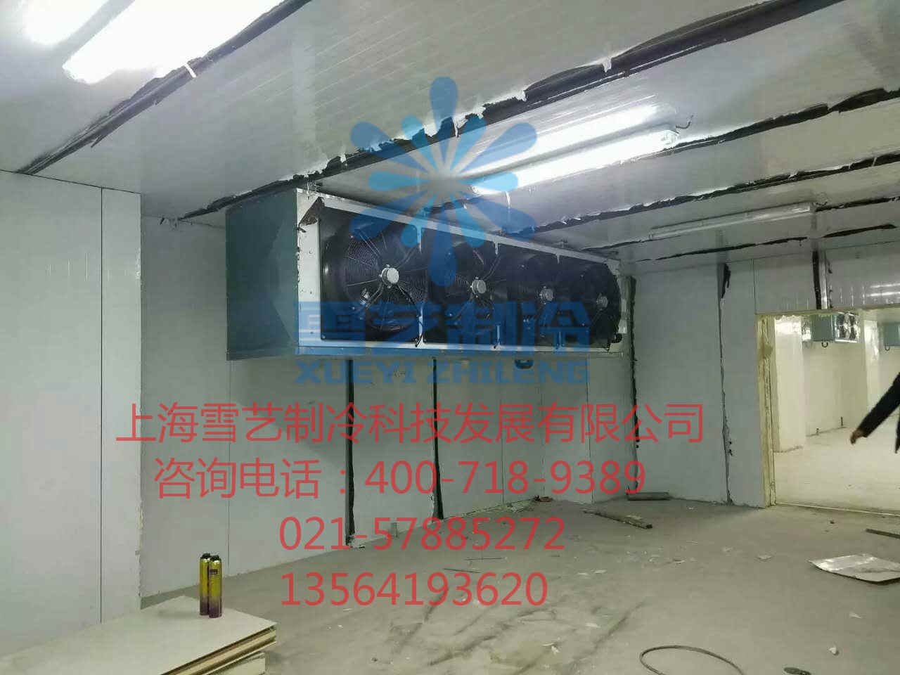 900平方冷庫造價/保鮮冷庫
