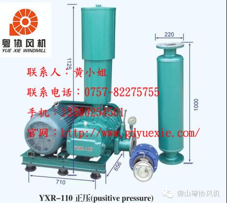YXR-110三葉羅茨鼓風機原始圖片2