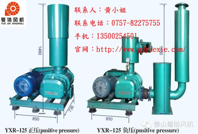 YXR-130三葉羅茨鼓風機